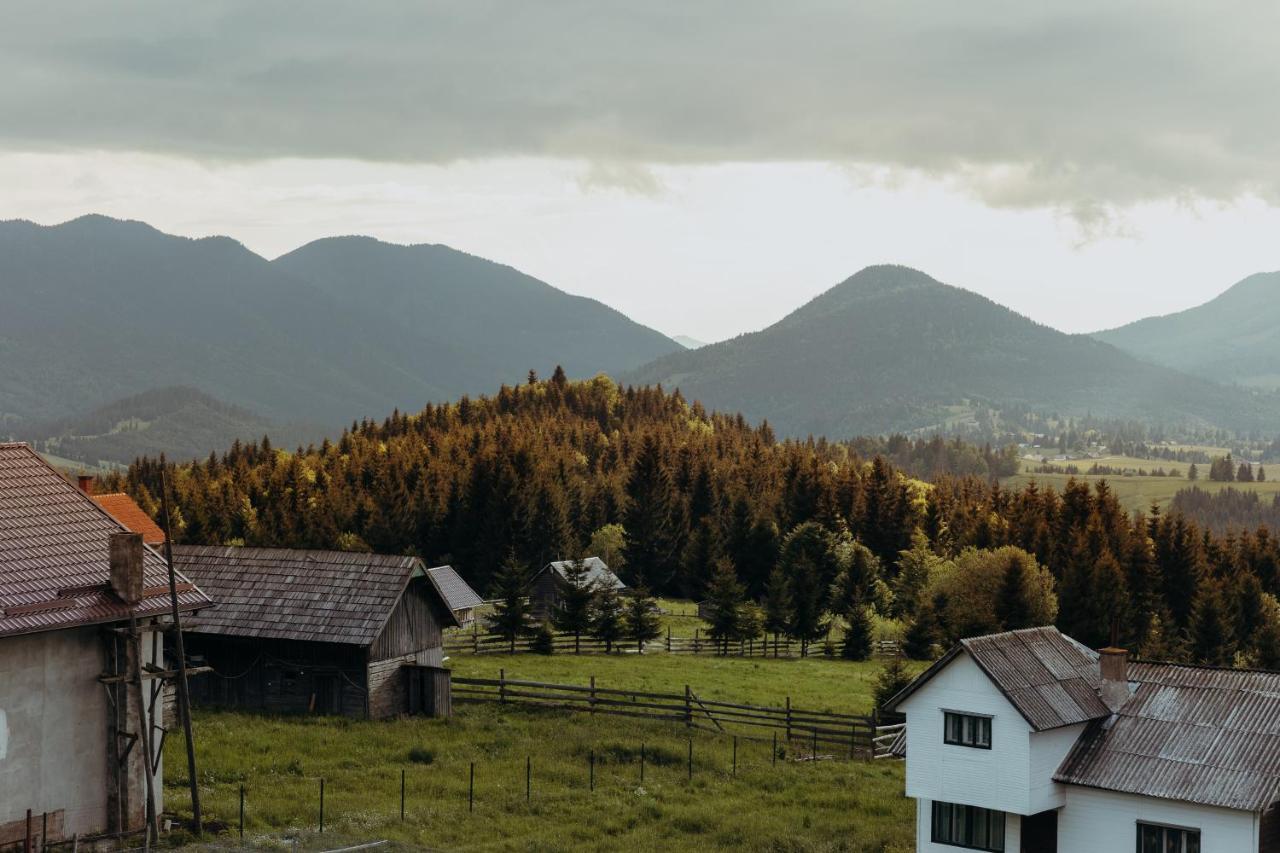 Popasul Transilvania 皮亚特拉凡塔讷勒 外观 照片