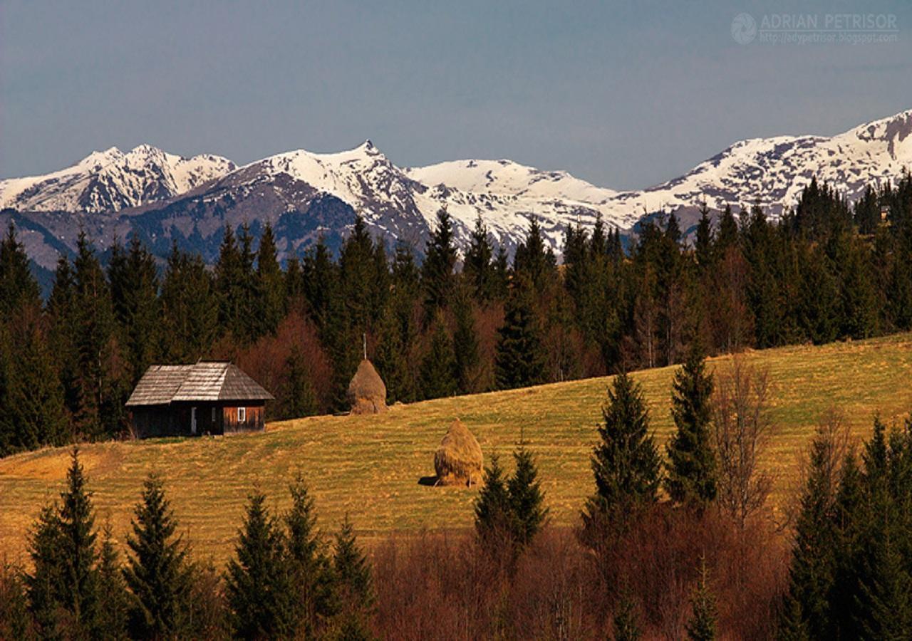 Popasul Transilvania 皮亚特拉凡塔讷勒 外观 照片