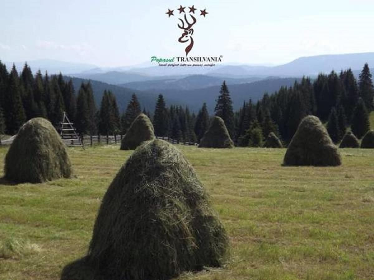 Popasul Transilvania 皮亚特拉凡塔讷勒 外观 照片